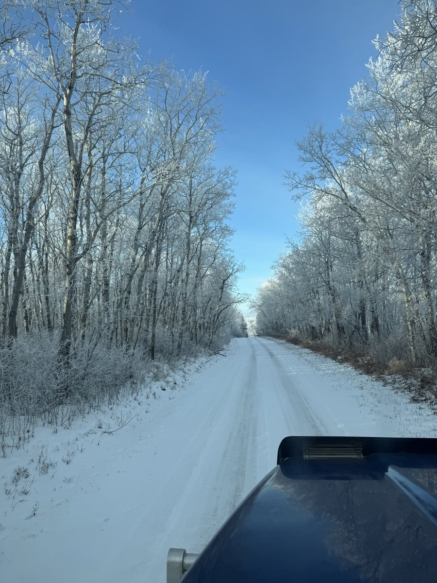 Beautiful end of November day!