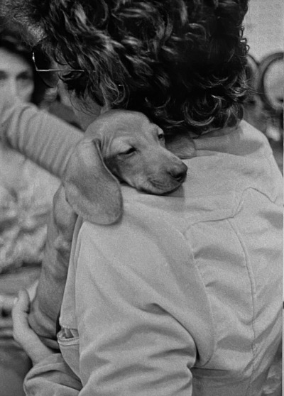 lou reed buying a puppy by mick rock, 1976