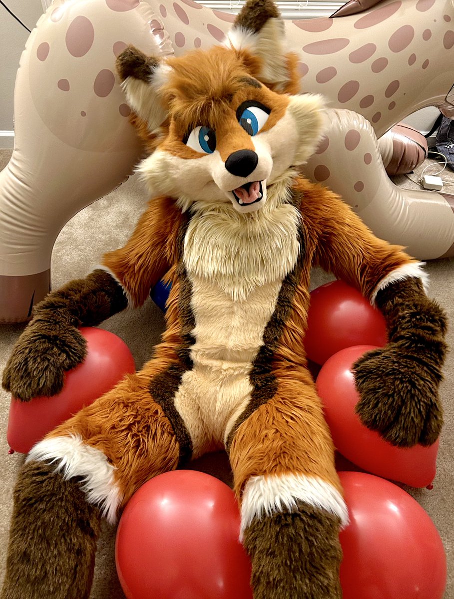 Happy Thanksgiving from this orange dog!! 🦊🦃✨