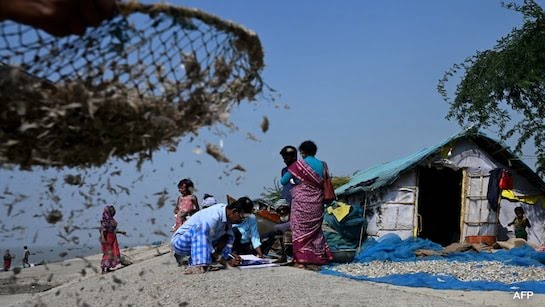 This SIR exercise is being used as a tool to disenfranchise millions of Bangladeshi residents of Bengal. If this doesn't fail, they will not have a say in how they are governed.Just because they are not legal citizens of India, in spite of having Aadhar cards, they paid ₹600 for