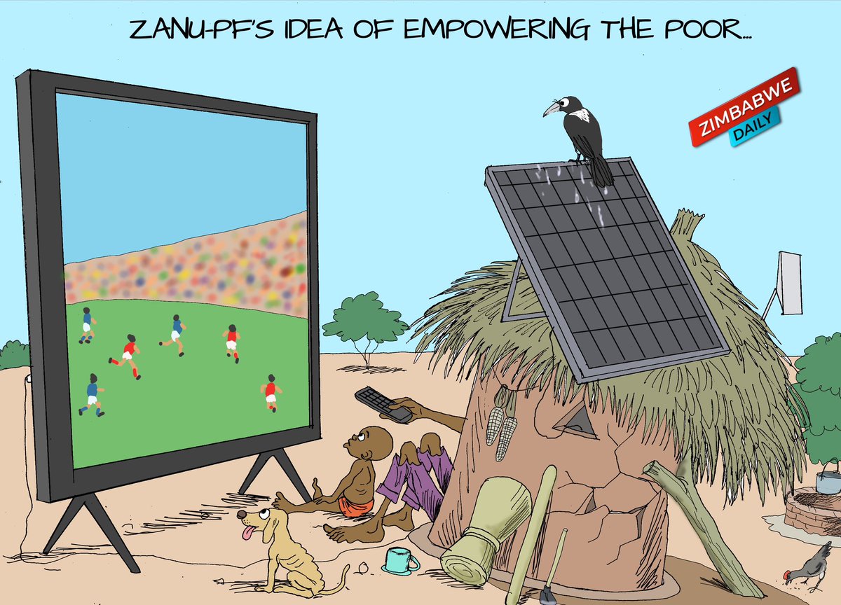 ZimDaily's tweet image. 