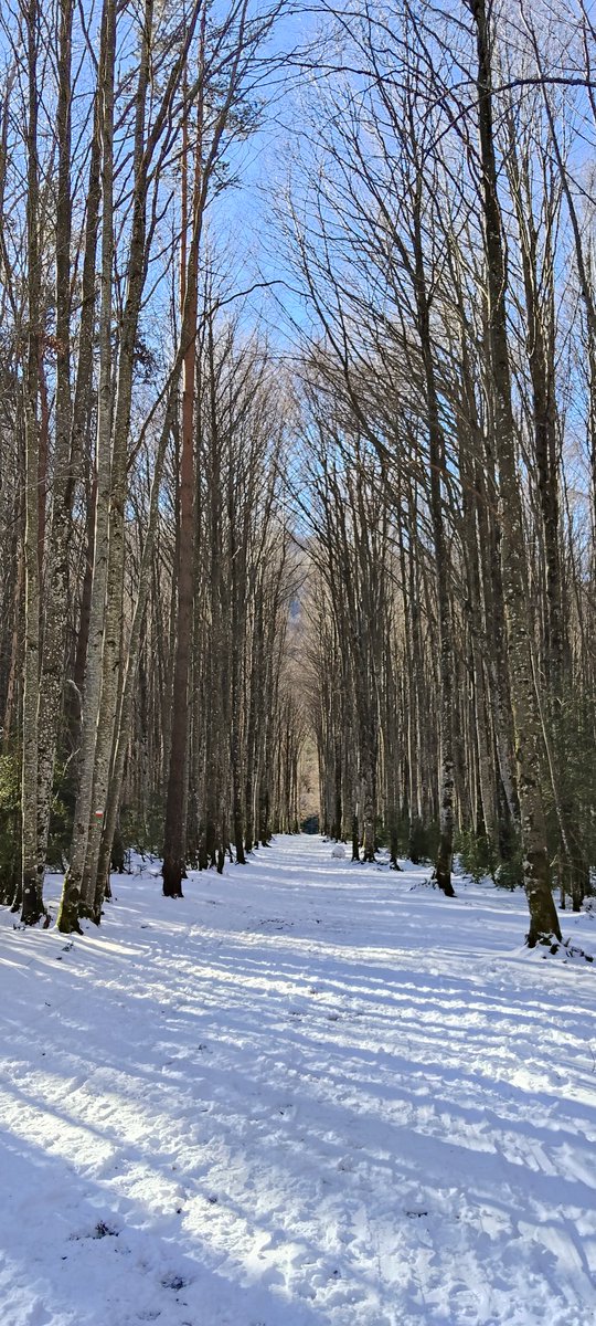 Asier (@asiermgdgmz) on Twitter photo 