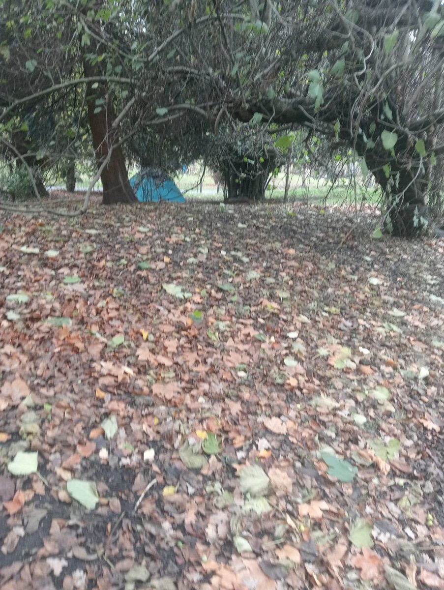 Con_Tomlinson's tweet image. Photo taken today.

This man was defecating behind Queen Caroline&apos;s Temple, in Kensington Gardens, near Hyde Park.

A monument to King George II&apos;s wife, who commissioned royal parks and the Serpentine Lake, is now a toilet for third worlders.

There are also homeless encampments…