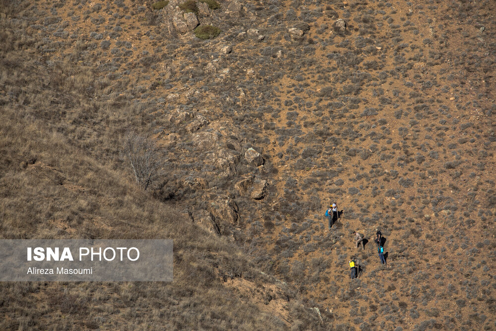 IranFrontPage's tweet image. Wildfire destroys nearly 10 hectares of forest in northern Iran ifpnews.com/wildfire-destr…