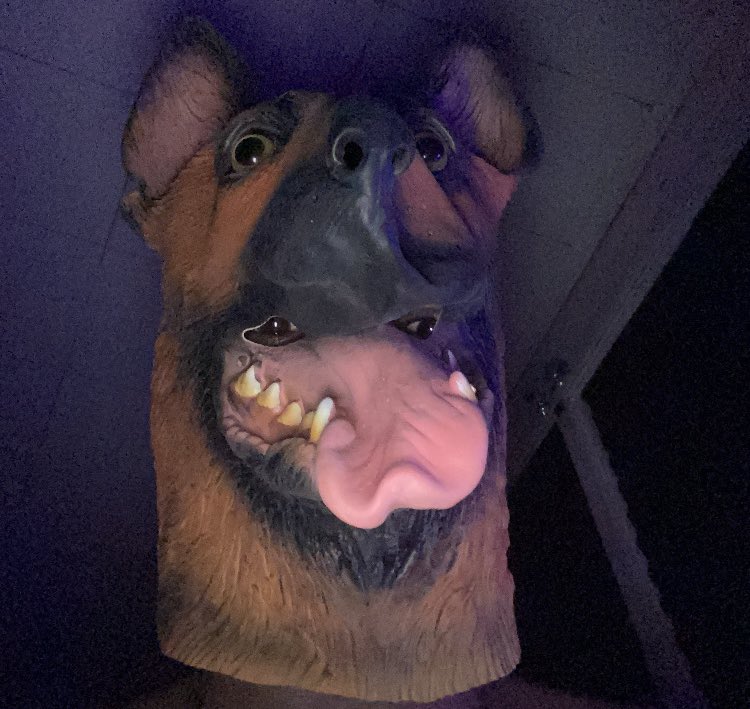 LilHeadSlimeBall⛹🏼‍♂️🍦✨ (@lilheadslime2) on Twitter photo 