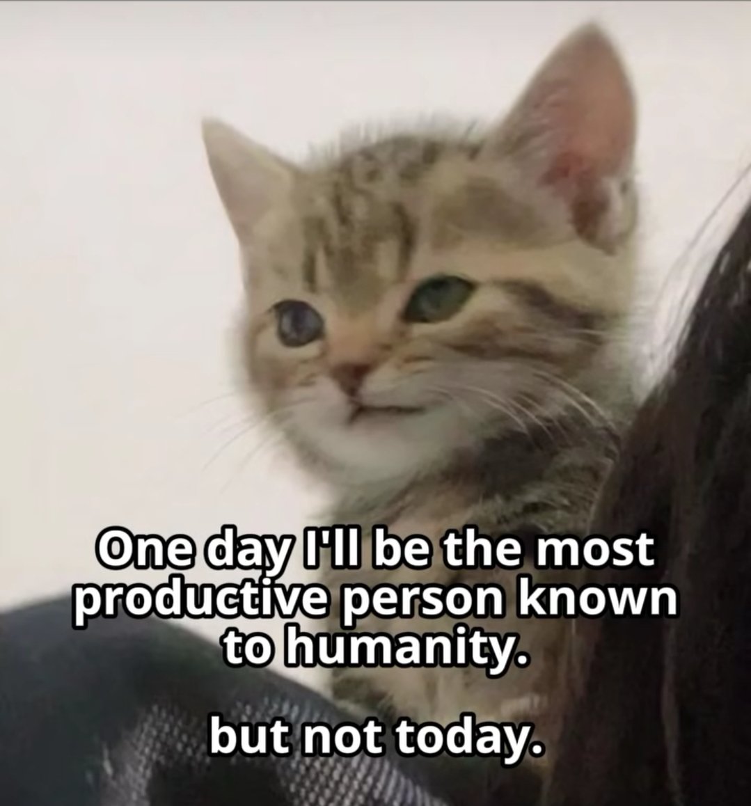 Catsillyness's tweet image. 