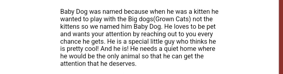 babydogfanclub's tweet image. happy happy gotcha day to baby dog!! i&apos;ve been saving this treat for everyone for this day - his petfinder pic and description!!