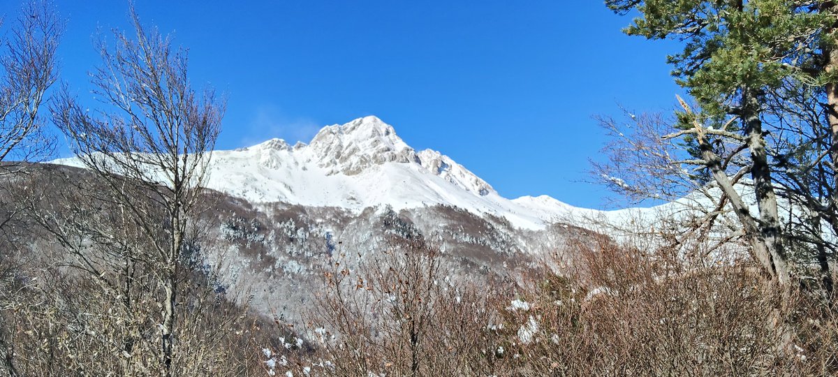 Asier (@asiermgdgmz) on Twitter photo 