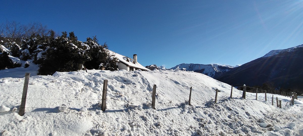 Asier (@asiermgdgmz) on Twitter photo 