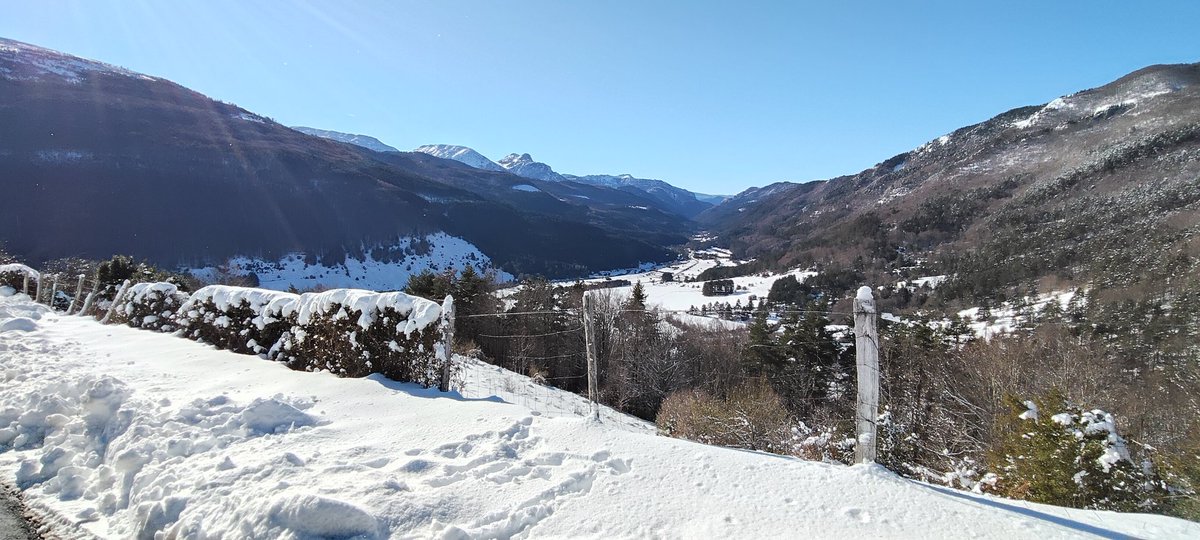 Asier (@asiermgdgmz) on Twitter photo 