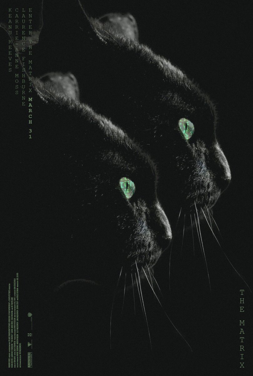 PosterSpy's tweet image. The Matrix by Jord.psd

#TheMatrix