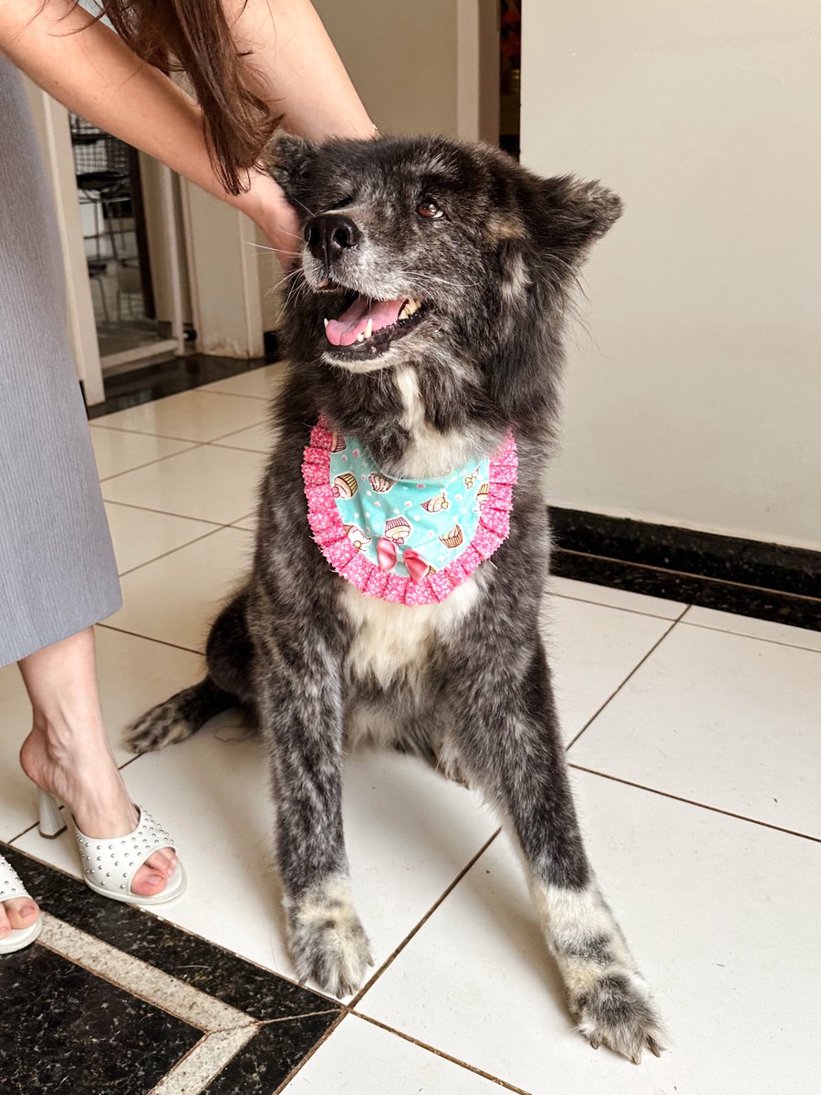 Igor Narciso tweet media