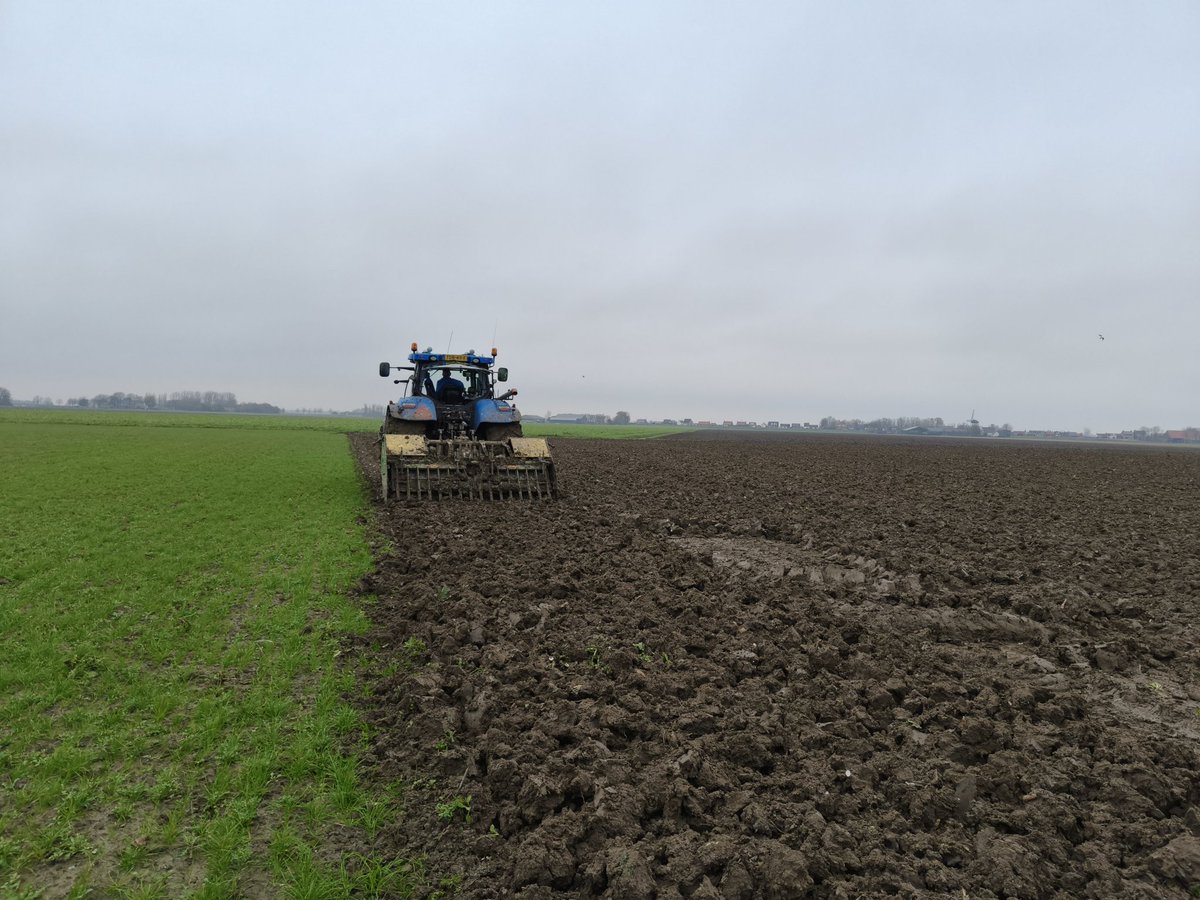 Gisteren laatste witlof gerooid en vandaag de laatste vracht zelf naar het koelhuis gebracht. Perceel ook gelijk gespit. Alles klaar voor de winter. #bestgelopen #akker