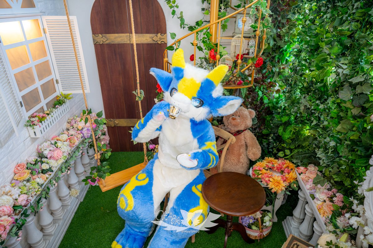「情緒，不是生活的背景噪音，而是驅動一切的主引擎。」
--
🐾：<a href="/Haruka0911_2020/">Haruka ＆ Sapphire</a>
📷：<a href="/MayT0602/">May (Chaba🦉) 🔜FWA</a>
--
#FursuitEveryday