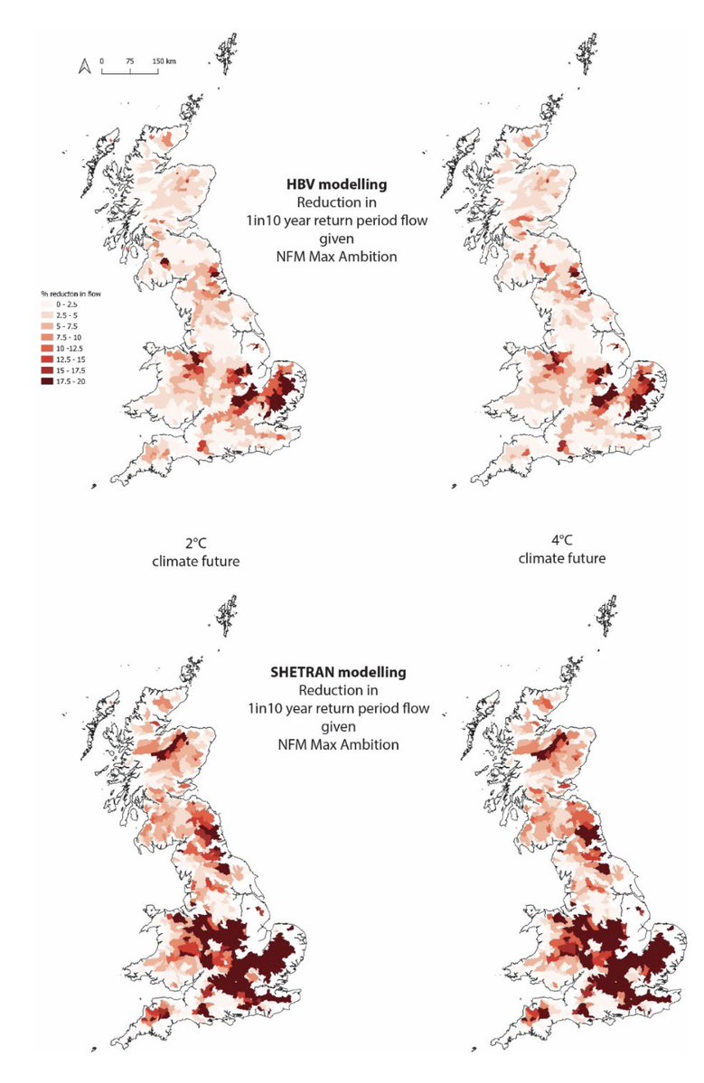 Excellent new study reveals the significant contribution that natural flood management can make in reducing river flooding.

There are big differences in geographical opportunities but in all cases there’s large cost benefits in investing.

onlinelibrary.wiley.com/doi/10.1111/jf…