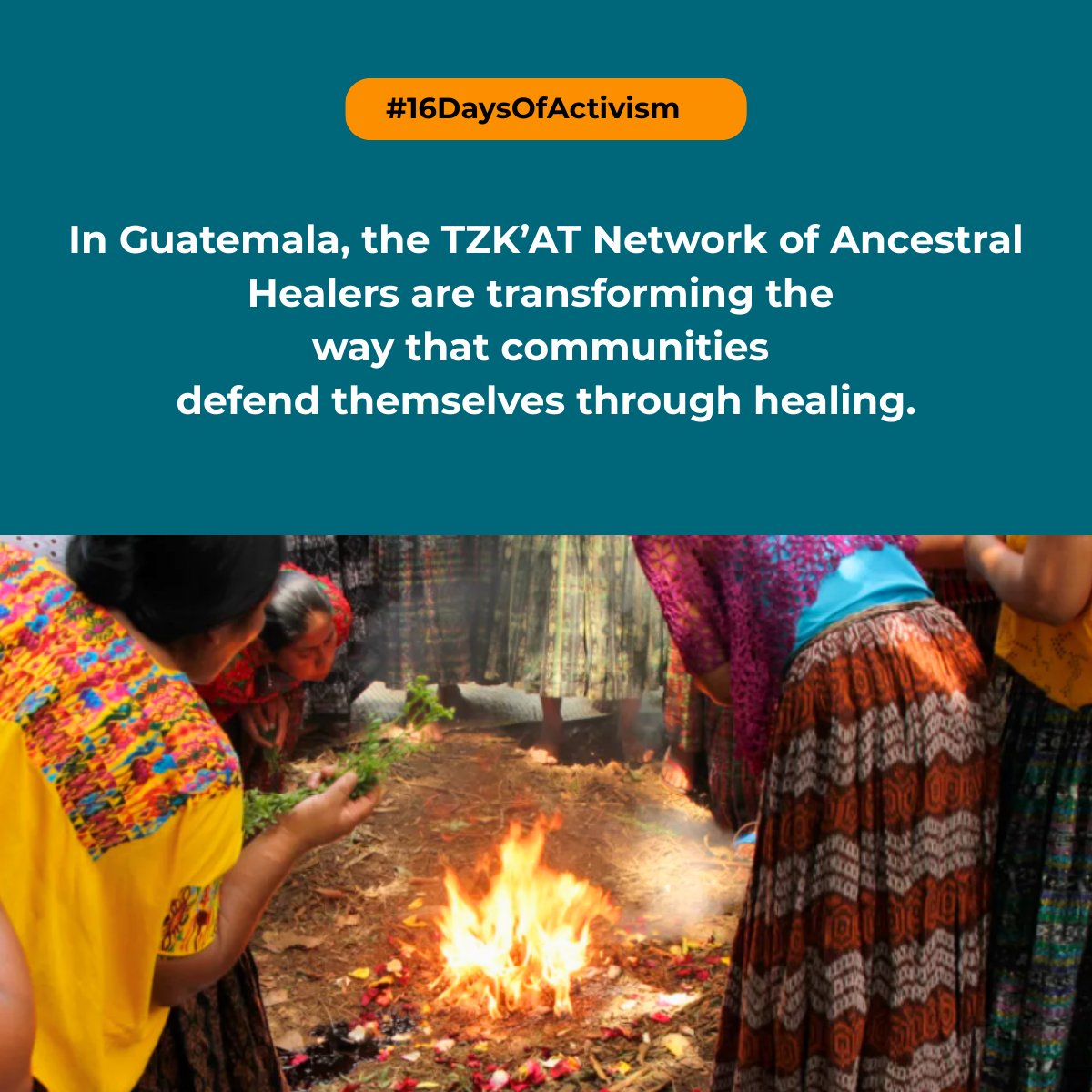 PBIUK's tweet photo. In Guatemala, the TZK’AT Network of Ancestral Healers is transforming the way communities defend themselves — through healing. 

Supported by PBI, the network has reached more than 1,000 women.

Find out more about our work 👉 https://t.co/lnkAcVqldp

#16DaysOfActivism https://t.co/zo2VUvPMrq