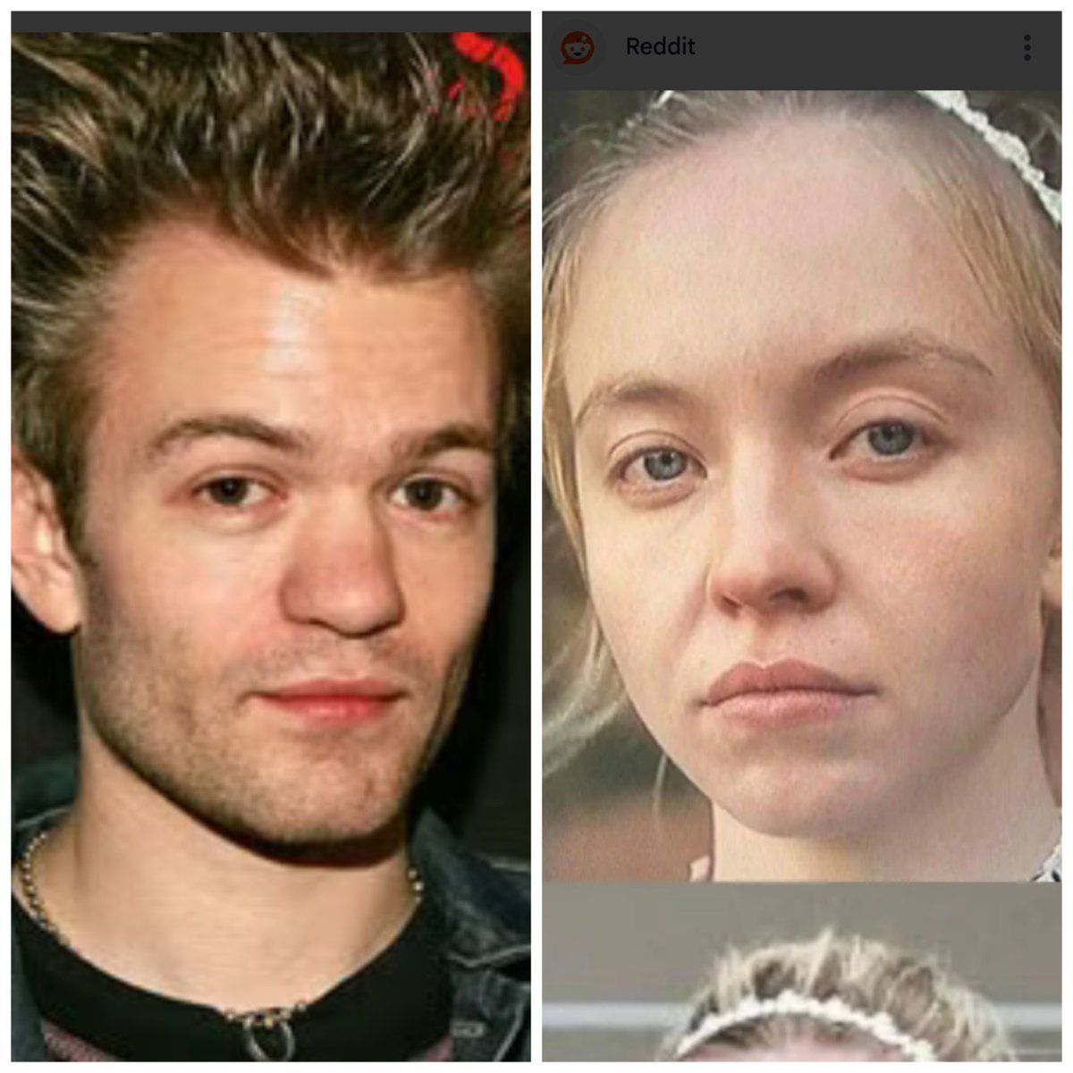 GrumpyAdamMoore's tweet image. sydney sweeney vs deryck whibley (Sum 41 singer)