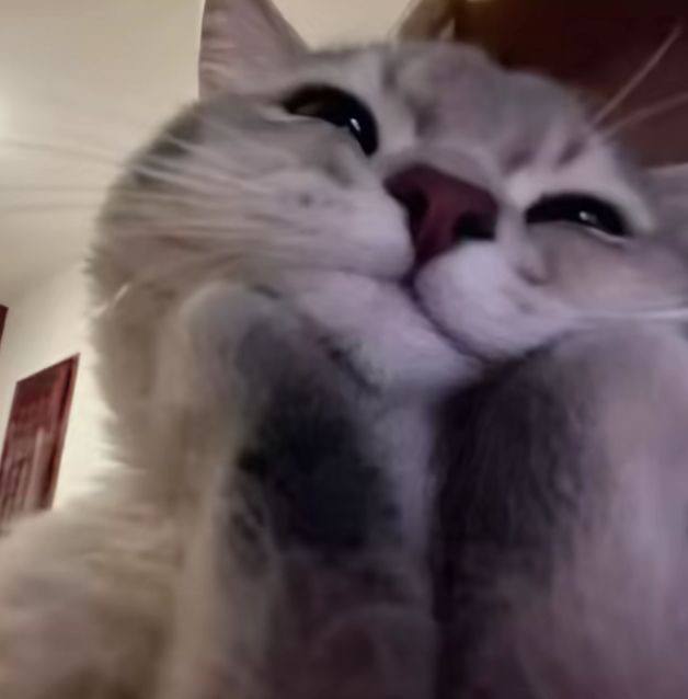 blackwheather's tweet image. can&apos;t see the difference....

SEAKEEN ENJOY WITH OISHI 
#OishiClubxH2HGang 
#keenkeno