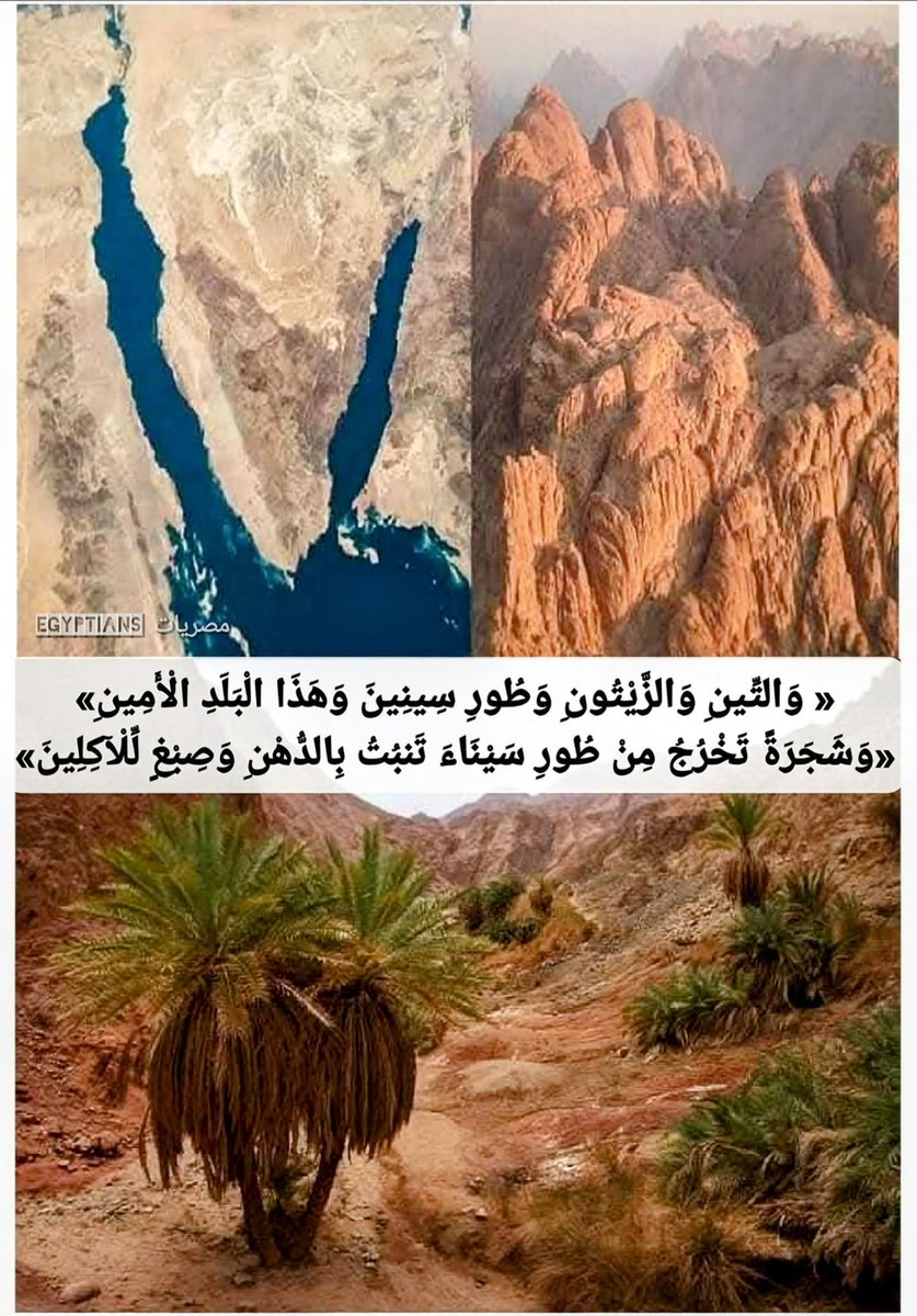 ربنا كرم مصر بذكرها صراحةً في القرآن الكريم حوالي خمس مرات، واختص سيناء وذكرها مرتين،
 واختص طور سيناء المباركة المقدسة بالذكر حوالي ثماني مرات هم :

« وَالتِّينِ وَالزَّيْتُونِ وَطُورِ سِينِينَ وَهَذَا الْبَلَدِ الْأَمِينِ» سورة التين.

وَإِذْ أَخَذْنَا مِيثَاقَكُمْ وَرَفَعْنَا