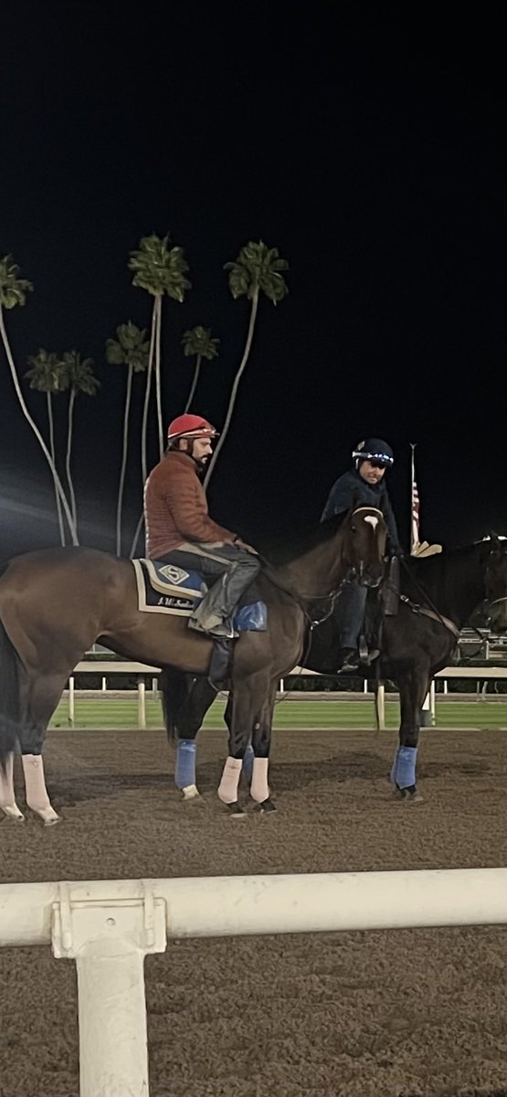 John W. Sadler tweet media