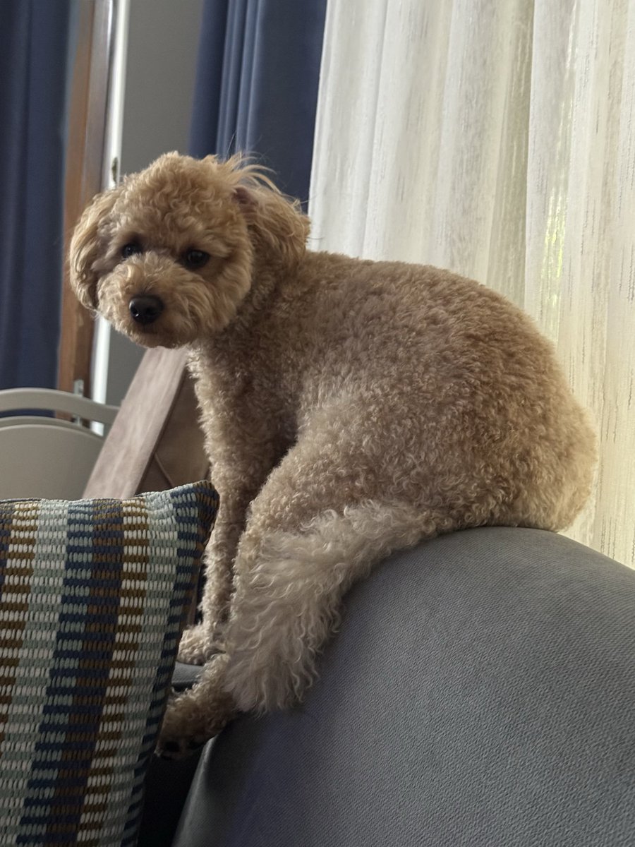 Oturyom işte ne güldümüz