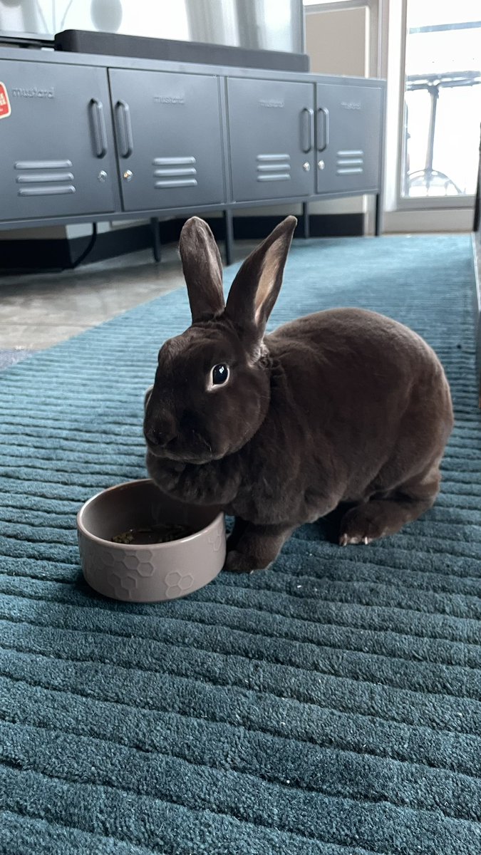 Nubster & Baby Mona (@Nubster13) / Posts / X