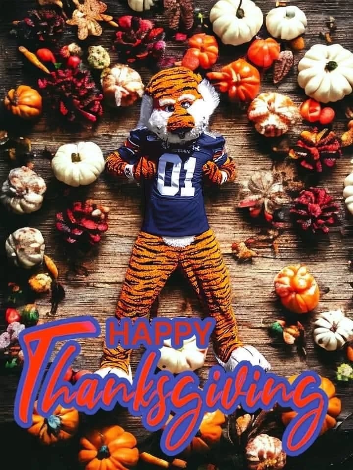 JaggardTech's tweet image. 🧡💙🧡💙🧡💙🧡💙🧡💙🧡