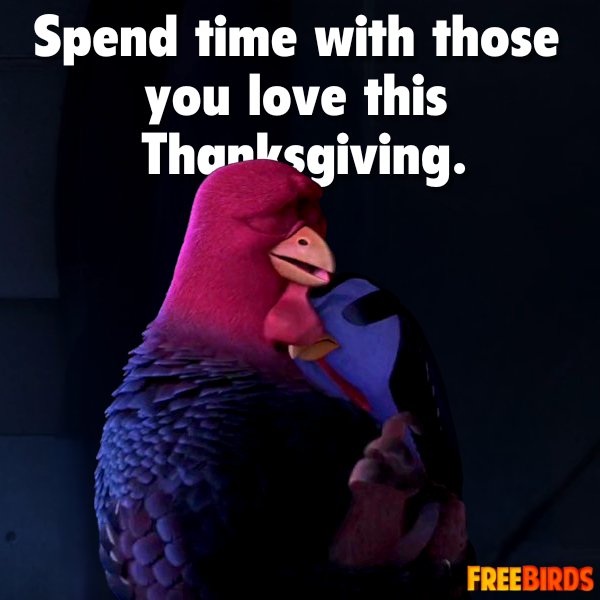 FreeBirdsJake's tweet image. Hopefully, our venture didn&apos;t go to waste, and turkeys are off your menu this Thanksgiving. I will be seeing you birds next year! 🫡 🦃 #FreeBirds #Thanksgiving