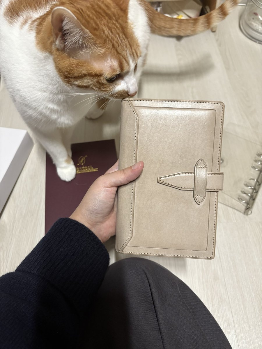 그리고 다빈치 로로마를 들였습니다…! (두근)