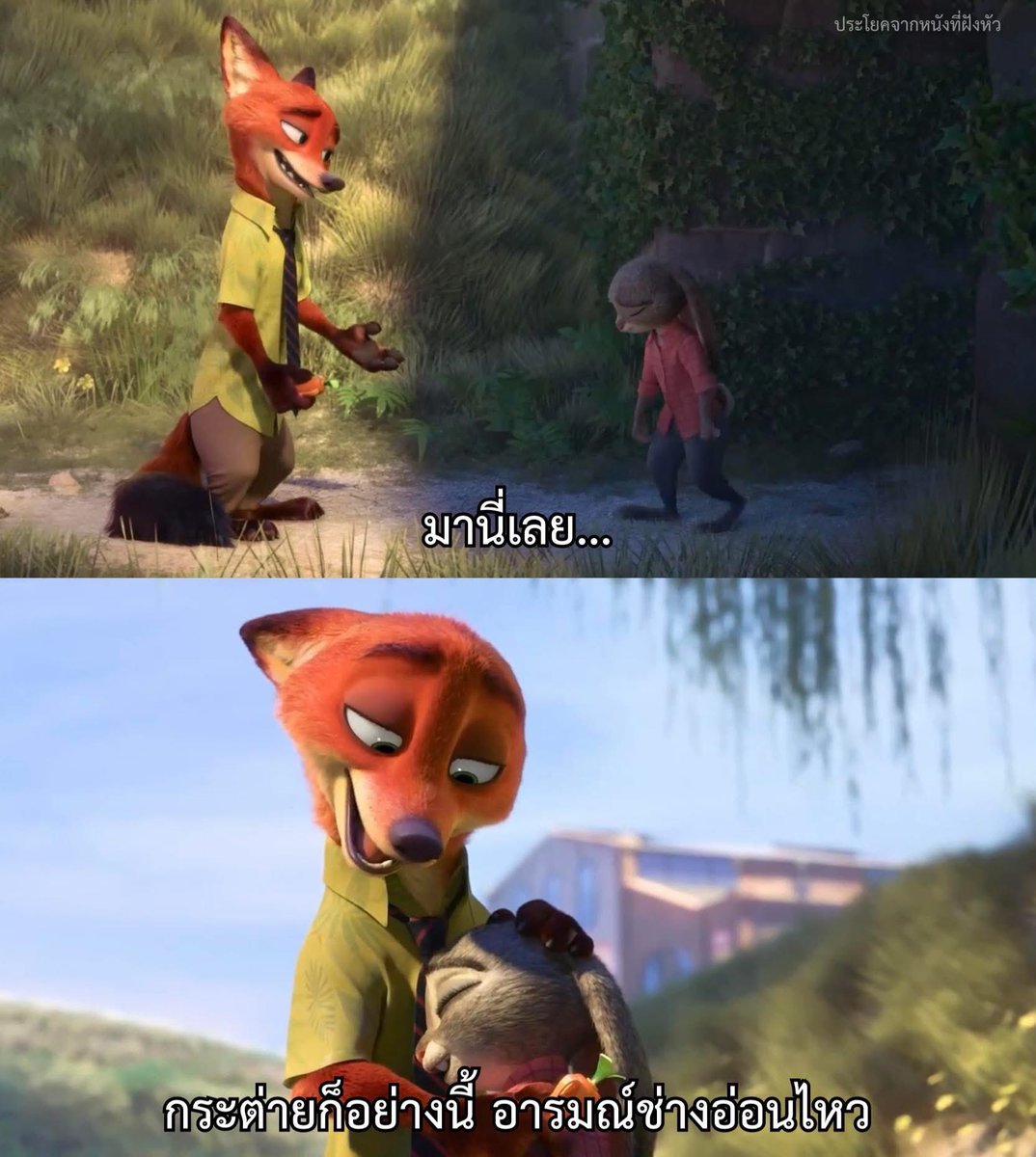 MVDeepQuotes's tweet image. อยากมีคุณหมาแดงเจ้าเล่ห์เป็นของตัวเอง
.
.
.
เรื่อง Zootopia