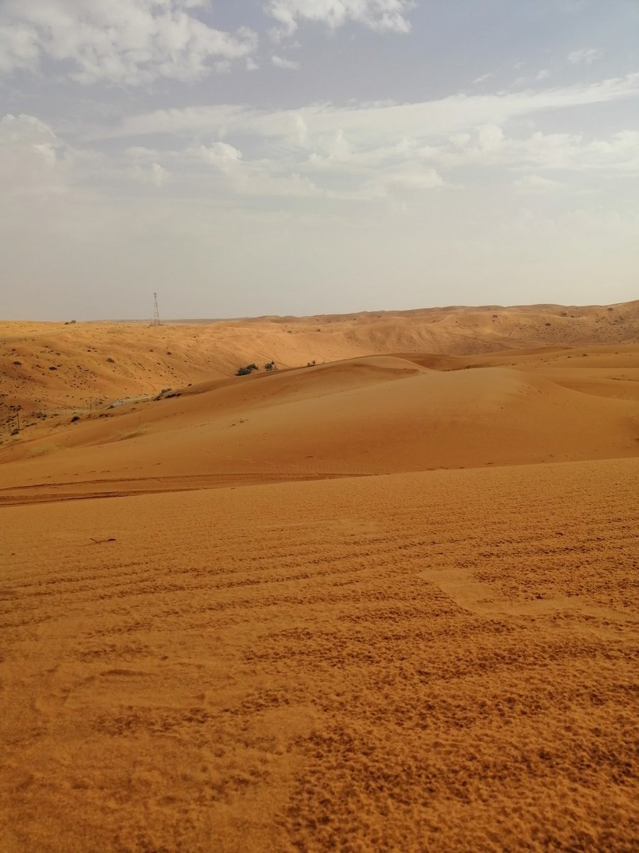 الزلفي عموماً
جاذب للسياحة وبالأخص هذه الأيام
التي توافق إجازة طلابية وأجواء معتدلة
وشمال الزلفي يمتاز بنفود الثويرات الذهبية الساحرة الجمال ويزدحم بهواة طلعات البر من الأهالي والزائرين لذلك أرجو من مرتادي طريق شمال الزلفي أخذ الحيطة والحذر والإلتزام بتعليمات السلامة المرورية