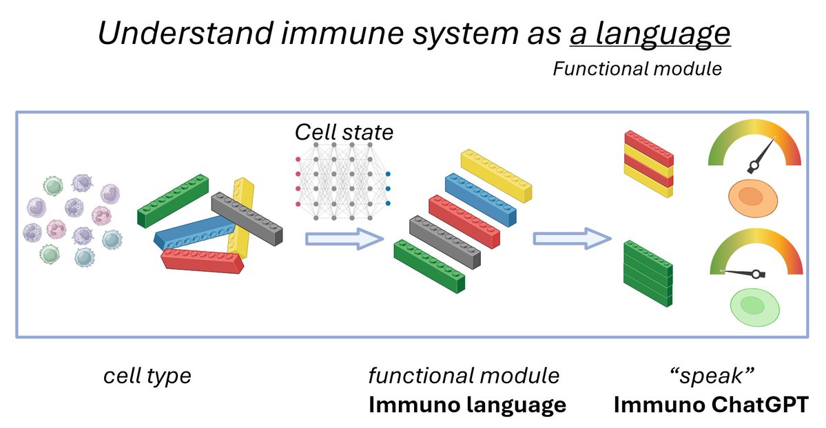 rio_sugimura's tweet image. Our Blood Engineering Lab is looking for a postdoc candidate. If you would like to join Immuno ChatGPT and AI virtual cell, DM me