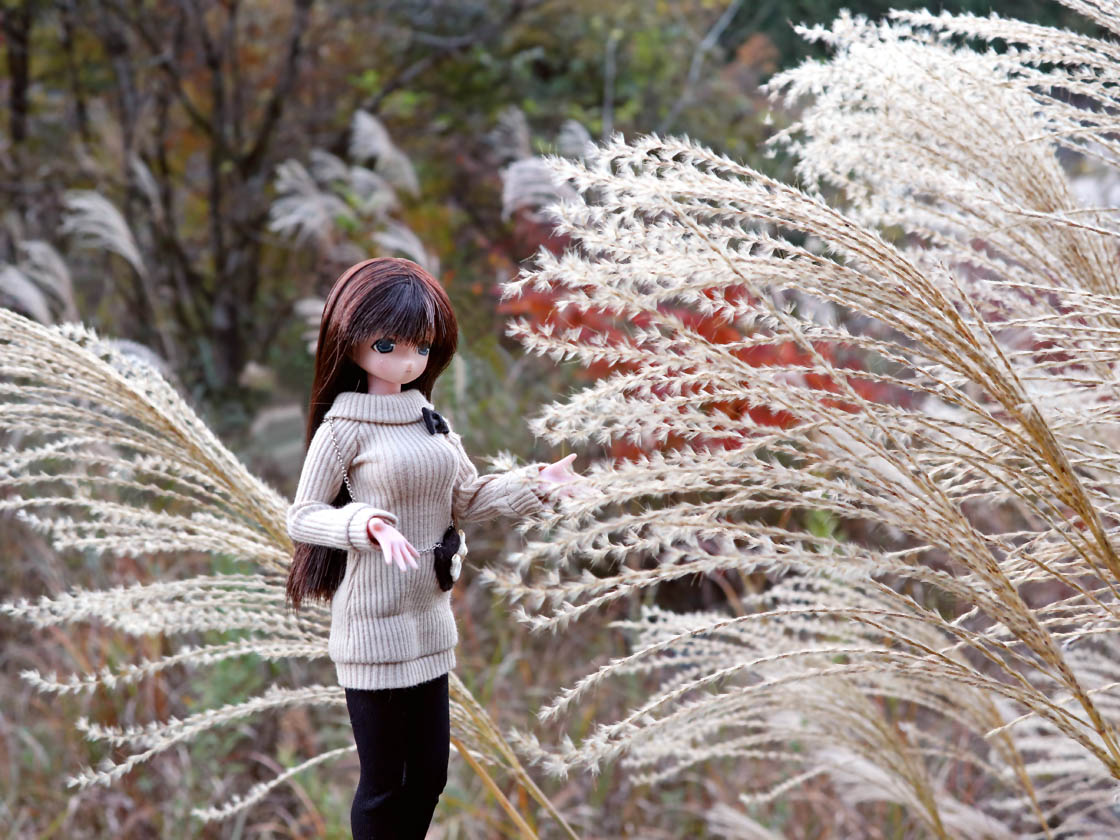 るる様 Z/X -Zillions of enemy X- NF DramaCD ⑨ 「13姉妹 雪月花」 | CD