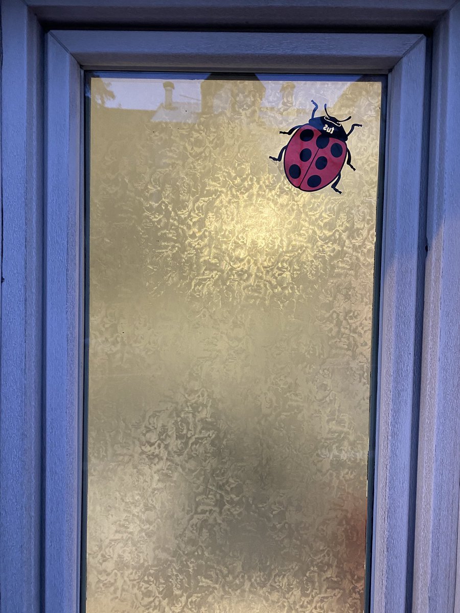 Sonia Zuccaro tweet media