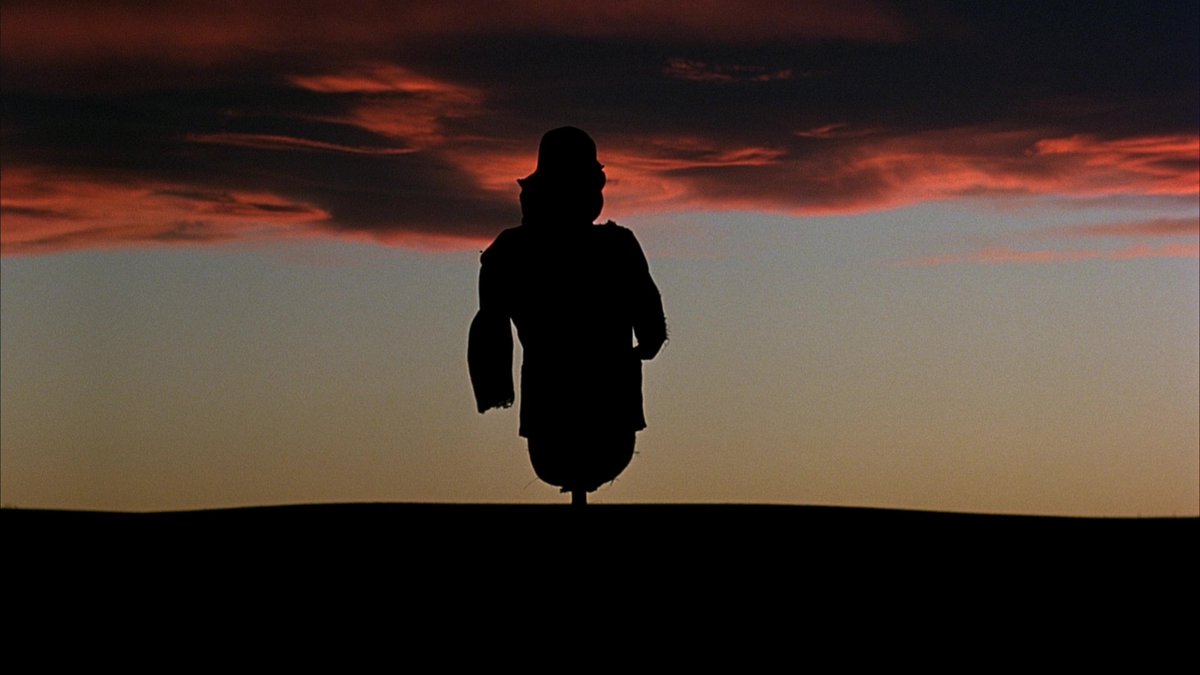 Days of Heaven (1978)
Director: Terrence Malick