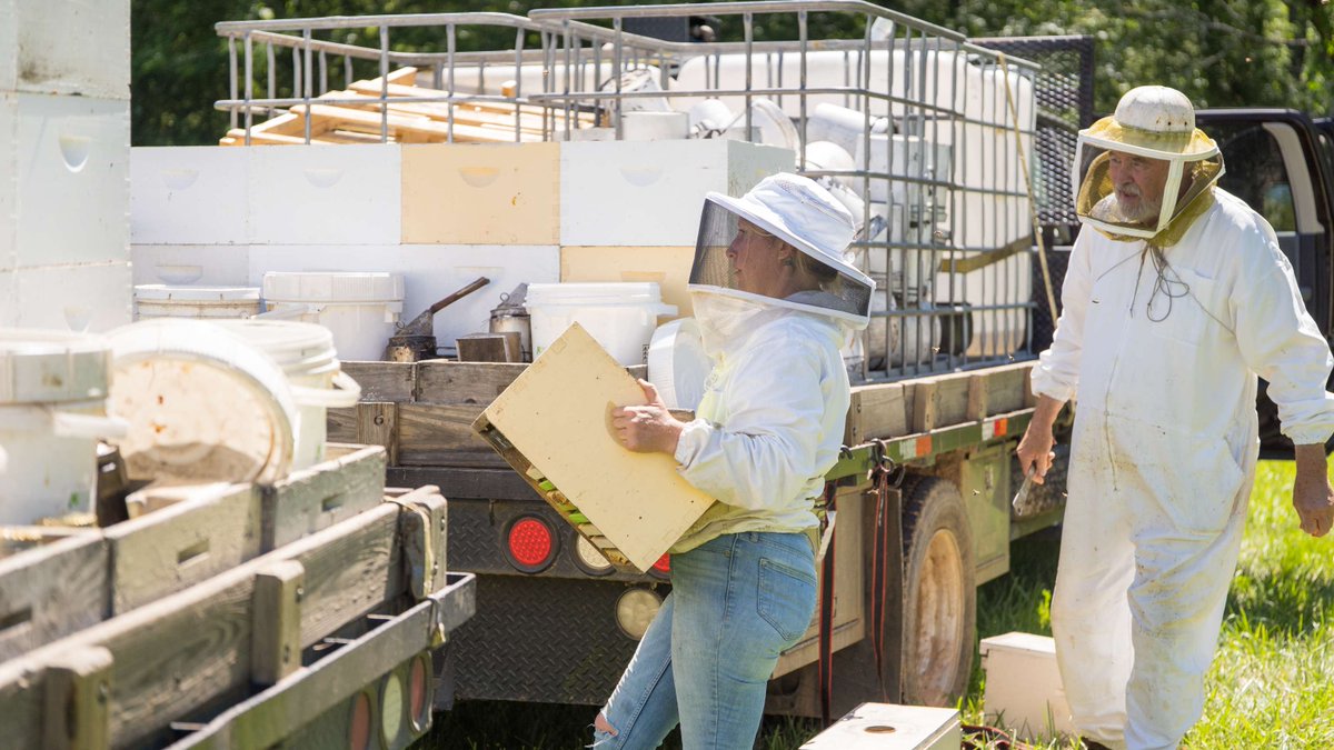 Mann Lake Bee & Ag Supply tweet media