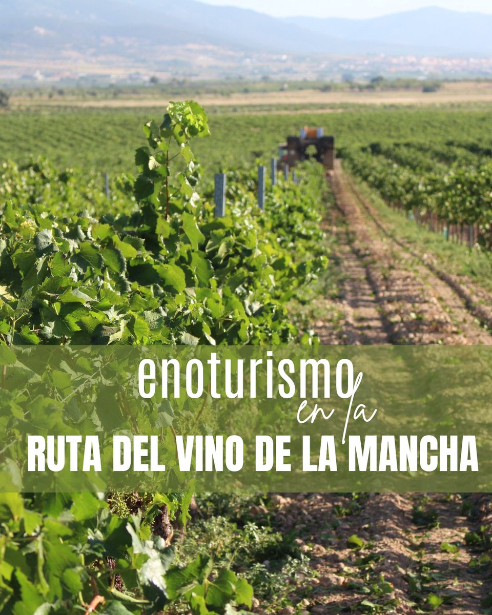Este finde promete ser glorioso en la #rutadelvinodelamancha 

Todas nuestras paradas tienen grandes planes para despedir el mes del enoturismo con la mayor de las celebraciones: el I Día del Airén (30nov)

En feed y web encontrarás todo lo que necesitas