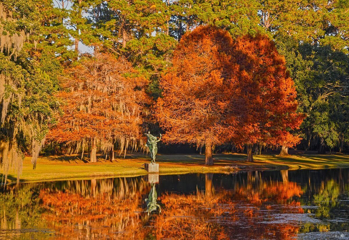 Brookgreen Gardens tweet media