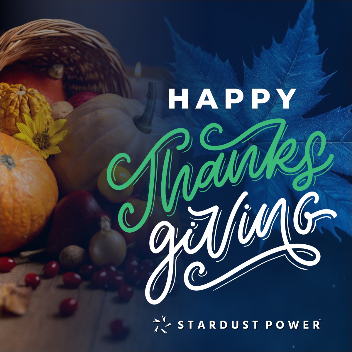 SDST_Power's tweet image. 🍁 Happy Thanksgiving from Stardust Power!

We’re grateful for how far we’ve come and for the support of our team, partners &amp;amp; community. A time to reflect, appreciate abundance, and enjoy moments with family and loved ones.

$SDST #Lithium #Thanksgiving #Gratitude #StardustPower