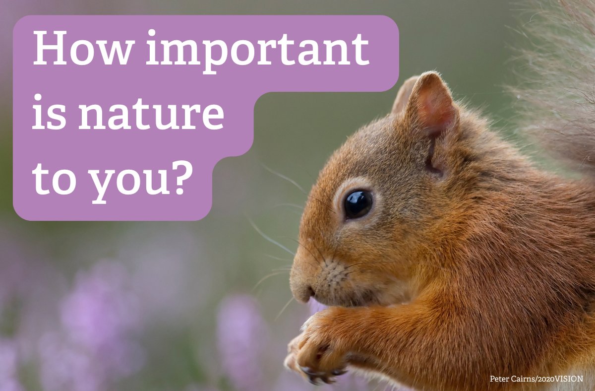 What do you think of when you hear the word “nature”? 🌳🌊🏞️ 

👉 amazing? 
👉 vital? 
👉 calming? 

Whatever your answer, we want your opinion! Take The Great Big Nature Survey today 👉 wildlifetrusts.org/great-big-natu…