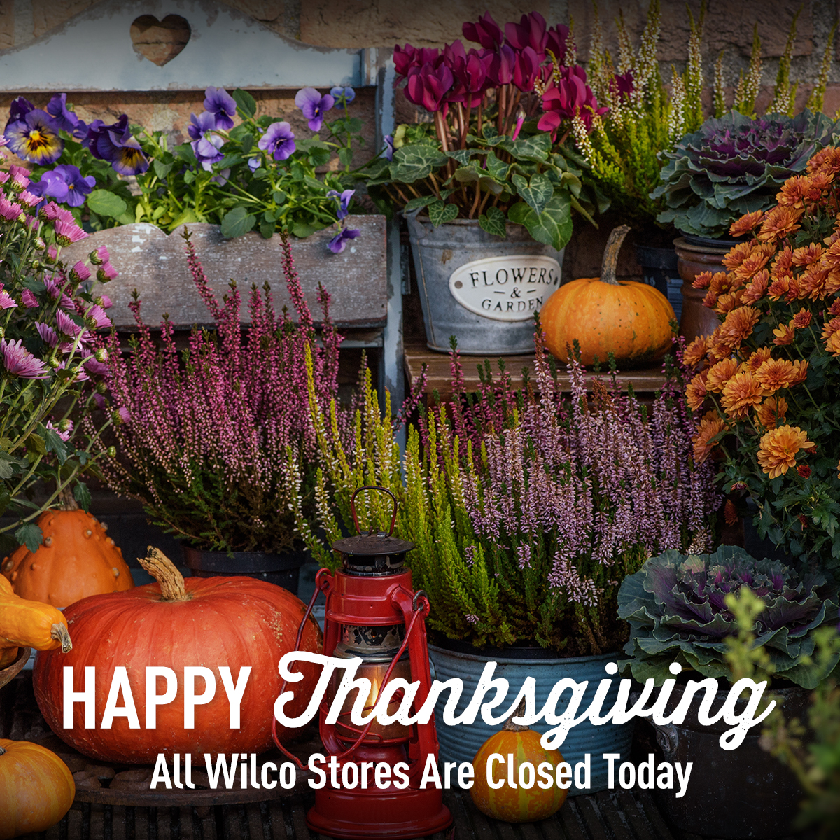 We'd like to give thanks for our customers, team members, farmer-owners, and communities - we are grateful to have you as part of the Wilco Family. Wishing all of you a Happy Thanksgiving! ⁠⁠

Thanksgiving Hours for Wilco Stores⁠
Thanksgiving Day: CLOSED
November 28th: 8 AM -