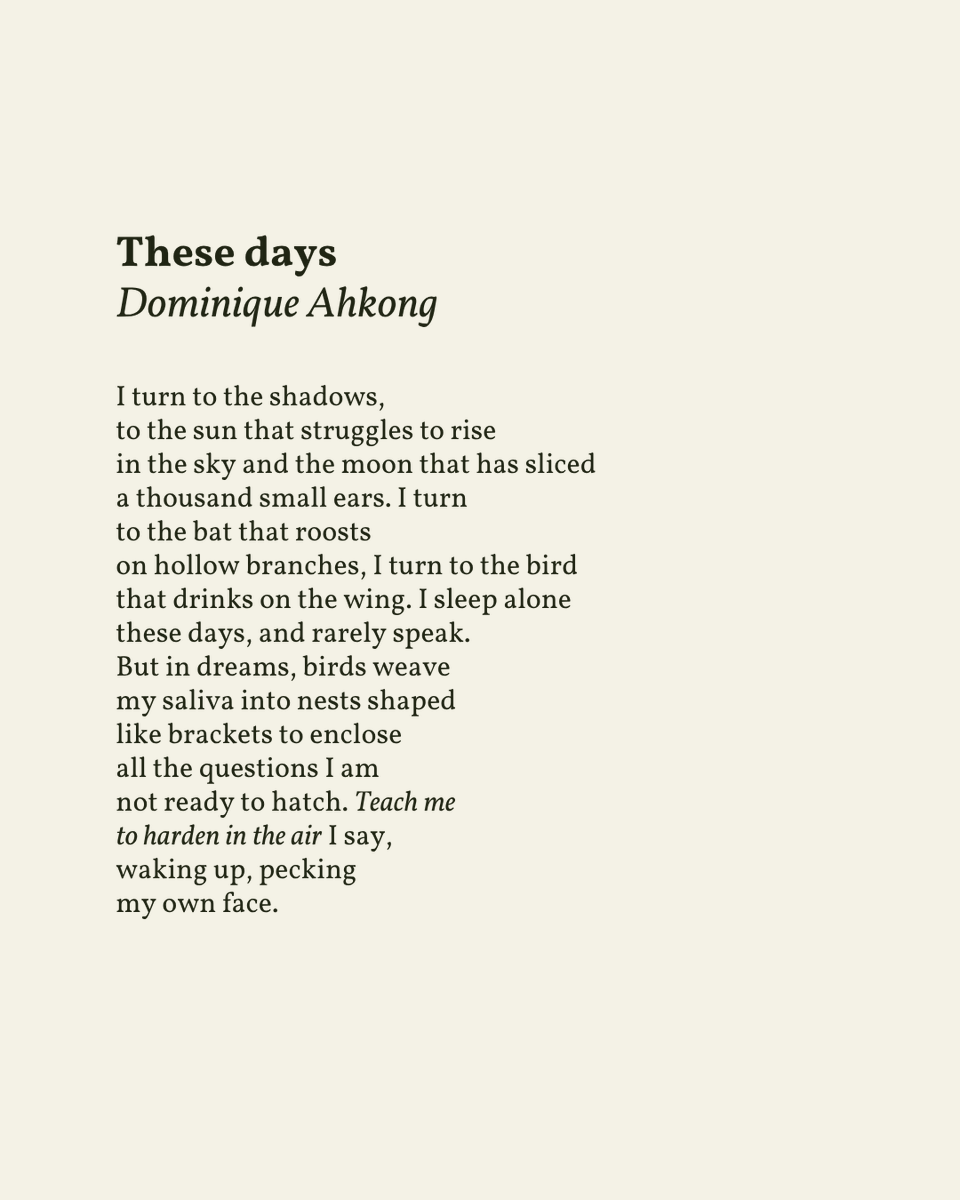 readalittlepoem's tweet photo. “I am / not ready to hatch. Teach me / to harden in the air”

— Dominique Ahkong (@domkeykong)

.
.
.

This poem appeared in Pirene’s Fountain Volume 18, Issue 26, 2025. Shared here with deep gratitude. https://t.co/UXtWMehoV0