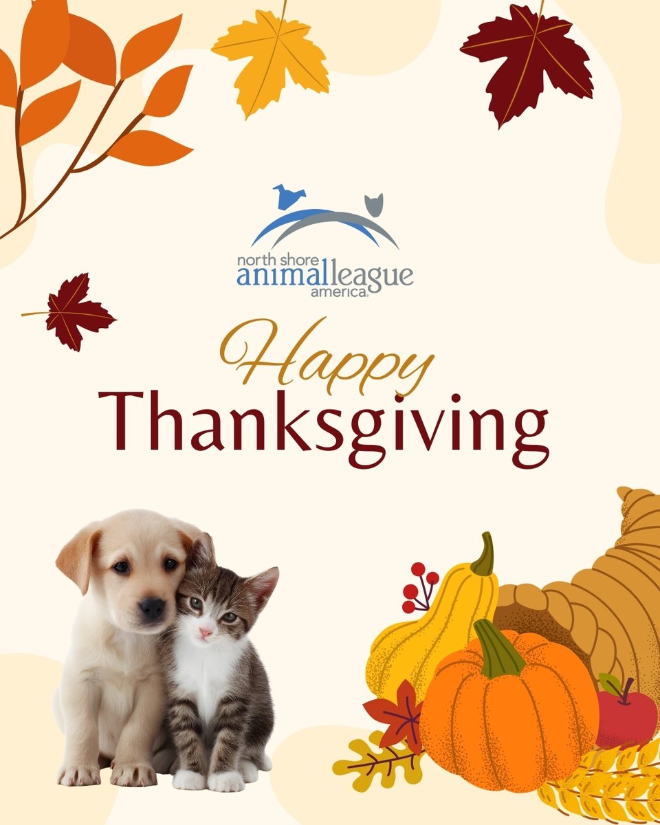 🦃 Happy Thanksgiving! 🦃

Today—and every day—we’re grateful for you: our incredible supporters, adopters, volunteers, and everyone who believes in our no-kill mission. ❤️ Because of you, countless animals are safe, loved, and on their way to loving homes.

Our Adoption Center