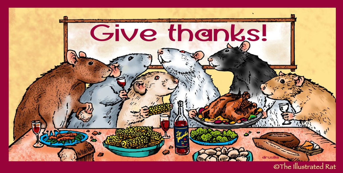 Happy Thanksgiving from #theillustratedrat