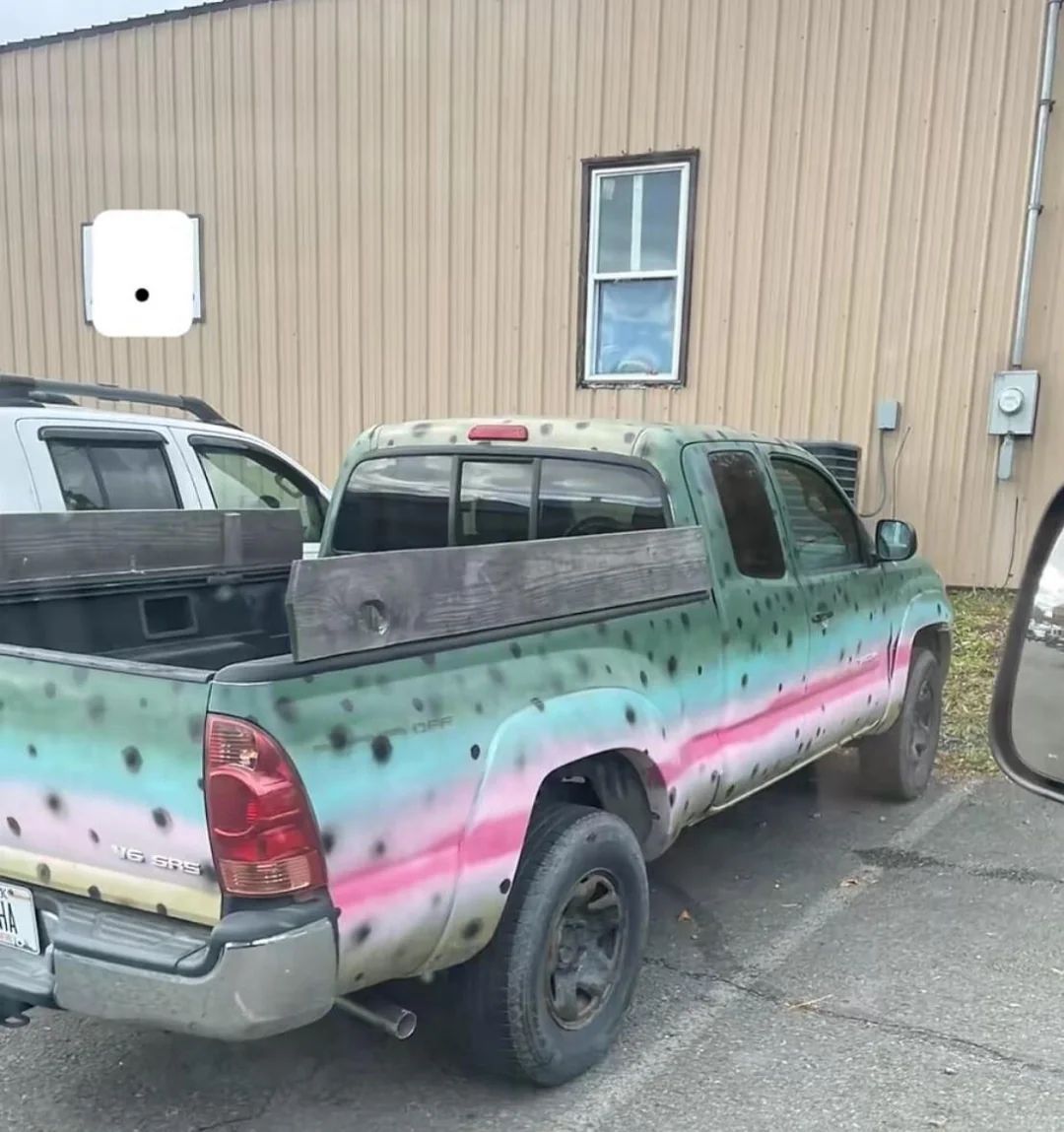 messedupcars's tweet image. bro got a trout skin wrap