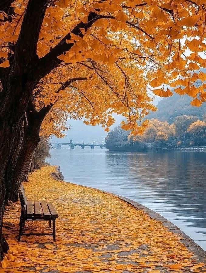 DisperseStar1's tweet image. Dreams and Reality;

&quot;Go confidently in the direction of your dreams! Live the life you&apos;ve imagined, simplifying your 
wants and needs:”——-

Henry David Thoreau
#DreamsComeTrue #simplescience