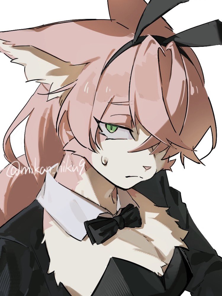 mikan_niku9's tweet image. バニー衣装ケモお兄さん