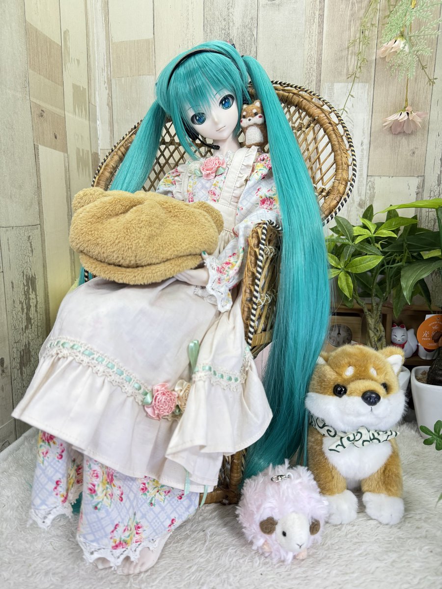 くまきち (@bearbeartyan) / Posts / X