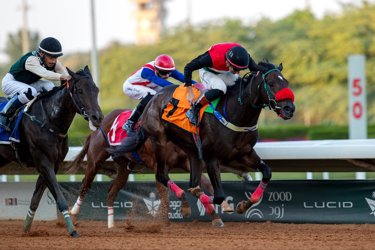 #موسم_سباقات_الرياض
#الحفل_39
#الشوط_4
الفائزة: كسابه الطولات |السعودية | ابنة PROSPECT PARK
المالك: ابناء الشريف هزاع شاكر العبدلي
المدرب: فهد مزيد
الخيال: ريكاردو فيريرا
المنتج: الشريف هزاع شاكر العبدلي
الزمن: 1:32:23
المسافة: 1400 م
#صحيفة_الفروسية