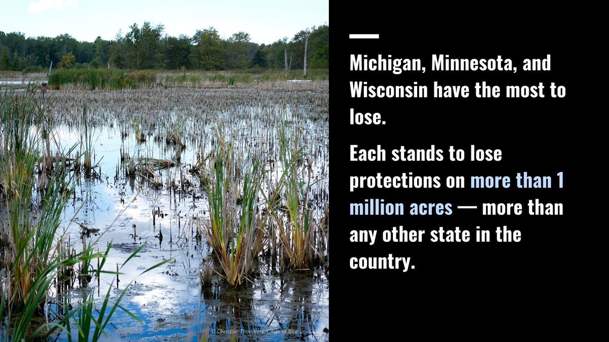 circleofblue's tweet image. Wetlands — “nature’s kidneys” — may soon lose federal safeguards. MI, MN &amp;amp; WI could see more flooding, wildfire risk, and pollution under the EPA’s proposed rule. 
buff.ly/8mEJpMf 

#Wetlands #ClimateRisk #Flooding #EPA #EnvironmentalJustice #WaterNews #GreatLakes